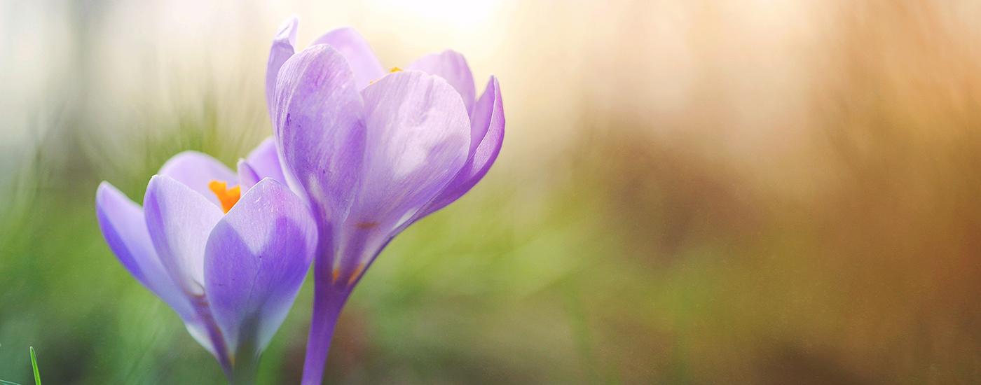 10 Dating Tips for Widows and Widowers Abel Keogh