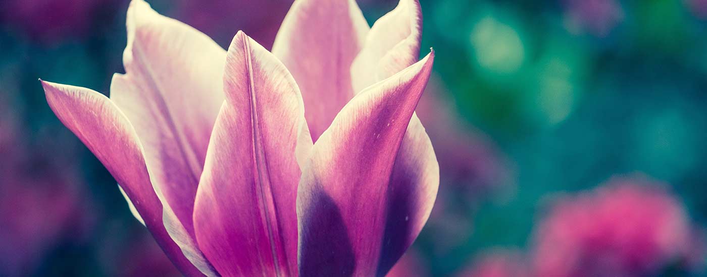 Dementia Quiz Questions for Family Caregivers